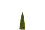 Load image into Gallery viewer, Moss Cones Three Sizes Available
