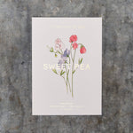 Load image into Gallery viewer, Sweet Pea Spencer Mixed Seed Packet
