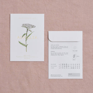 Achillea Millefolium (Yarrow) Seed Packet
