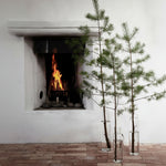 Load image into Gallery viewer, Large Glass Vase Tall Conical
