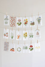 Load image into Gallery viewer, Paper Napkin Berries Design Pack of 16
