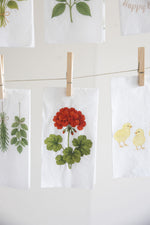 Load image into Gallery viewer, Paper Napkin Geranium Design Pack of 16
