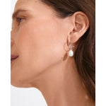 Load image into Gallery viewer, Eila Pearl Earrings Silver
