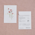 Load image into Gallery viewer, Strawflower Mixed Seed Packet
