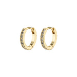 Load image into Gallery viewer, Ebna Mini Crystal Huggie Hoops Gold
