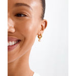 Load image into Gallery viewer, Evah Rosa Hoop Earrings Gold
