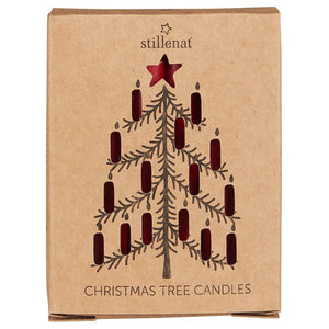 Taper Candles Box of 12 Red