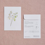 Load image into Gallery viewer, Honesty Seed Packet
