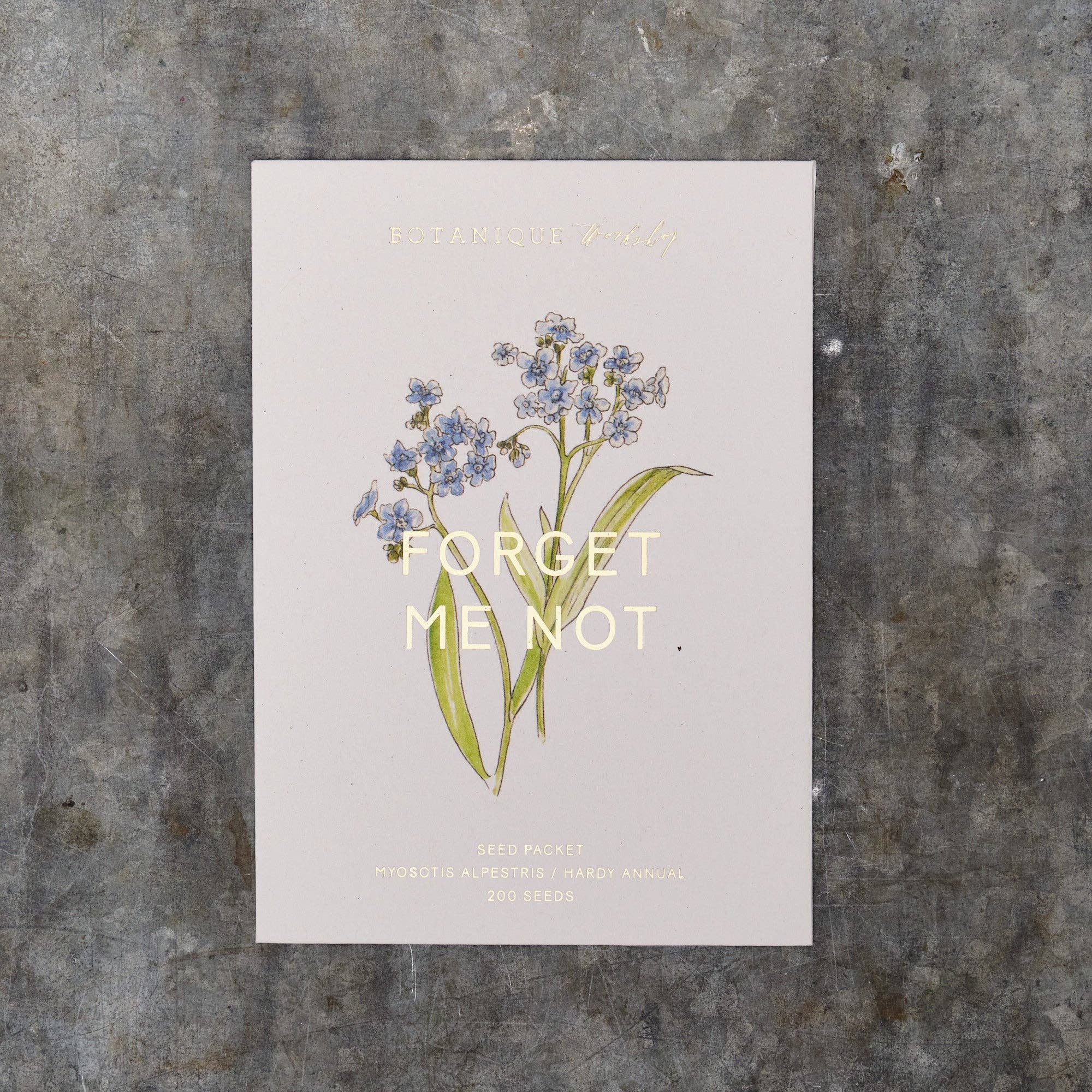 Forget-me-not myosotis alpestris Seed Packet