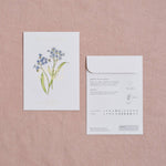 Load image into Gallery viewer, Forget-me-not myosotis alpestris Seed Packet

