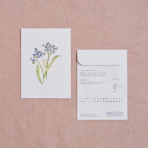 Forget-me-not myosotis alpestris Seed Packet