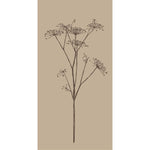 Load image into Gallery viewer, Paper Napkins Beige and Brown Umbel Flower
