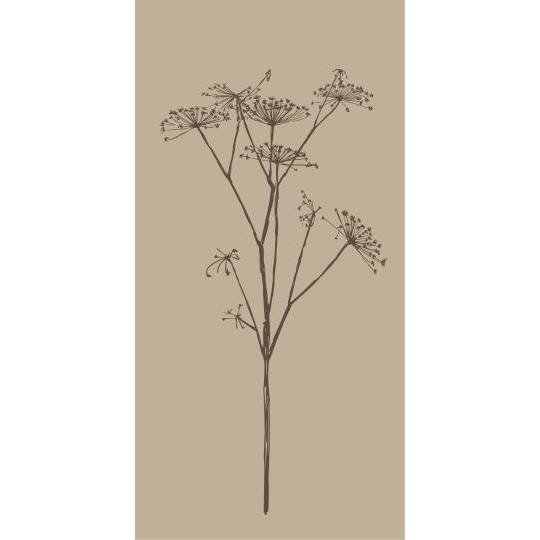 Paper Napkins Brown Umbel Flower