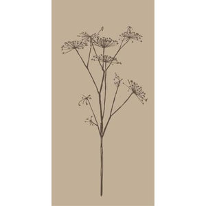 Paper Napkins Brown Umbel Flower
