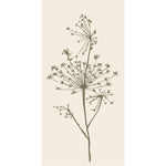 Load image into Gallery viewer, Paper Napkins Green Umbel Flower
