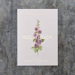 Load image into Gallery viewer, Hollyhock Crown Single Mixed Seed Packet
