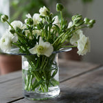 Load image into Gallery viewer, Glass Vase With Flat Rim Small
