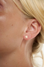 Load image into Gallery viewer, Beach Stud Earrings Gold
