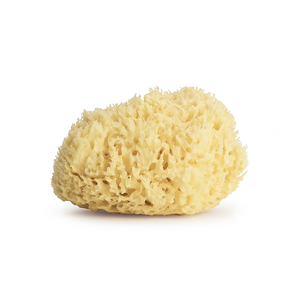 Mini Gold Honeycomb Sponge