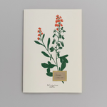 Load image into Gallery viewer, Medium French Fleurs Notebook Unlined A5
