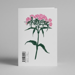 Load image into Gallery viewer, Medium French Fleurs Notebook Unlined A5
