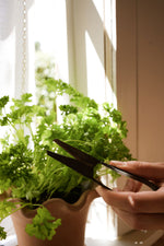 Load image into Gallery viewer, Herb Snippers with Leather Case
