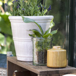 Load image into Gallery viewer, HANDBLOWN GLASS CANDLE HOLDER VASE SELMA
