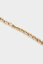 Load image into Gallery viewer, Link Bracelet Gold
