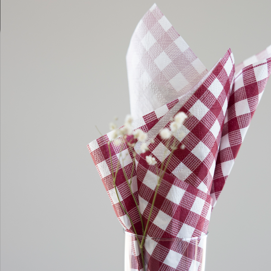 PAPER NAPKINS RED CHECKED DESIGN PACK OF 16