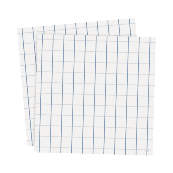 Paper Napkin Pack Light Blue and White Check