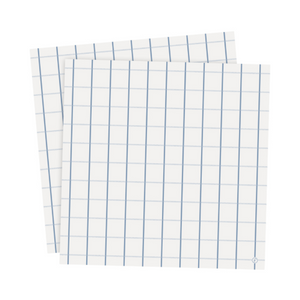 Paper Napkin Pack Light Blue and White Check