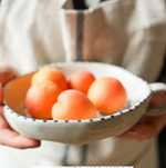 Load image into Gallery viewer, Hand Painted Botanic Dish Ink
