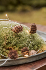 Load image into Gallery viewer, Pine Cone Wired Lights 120cm

