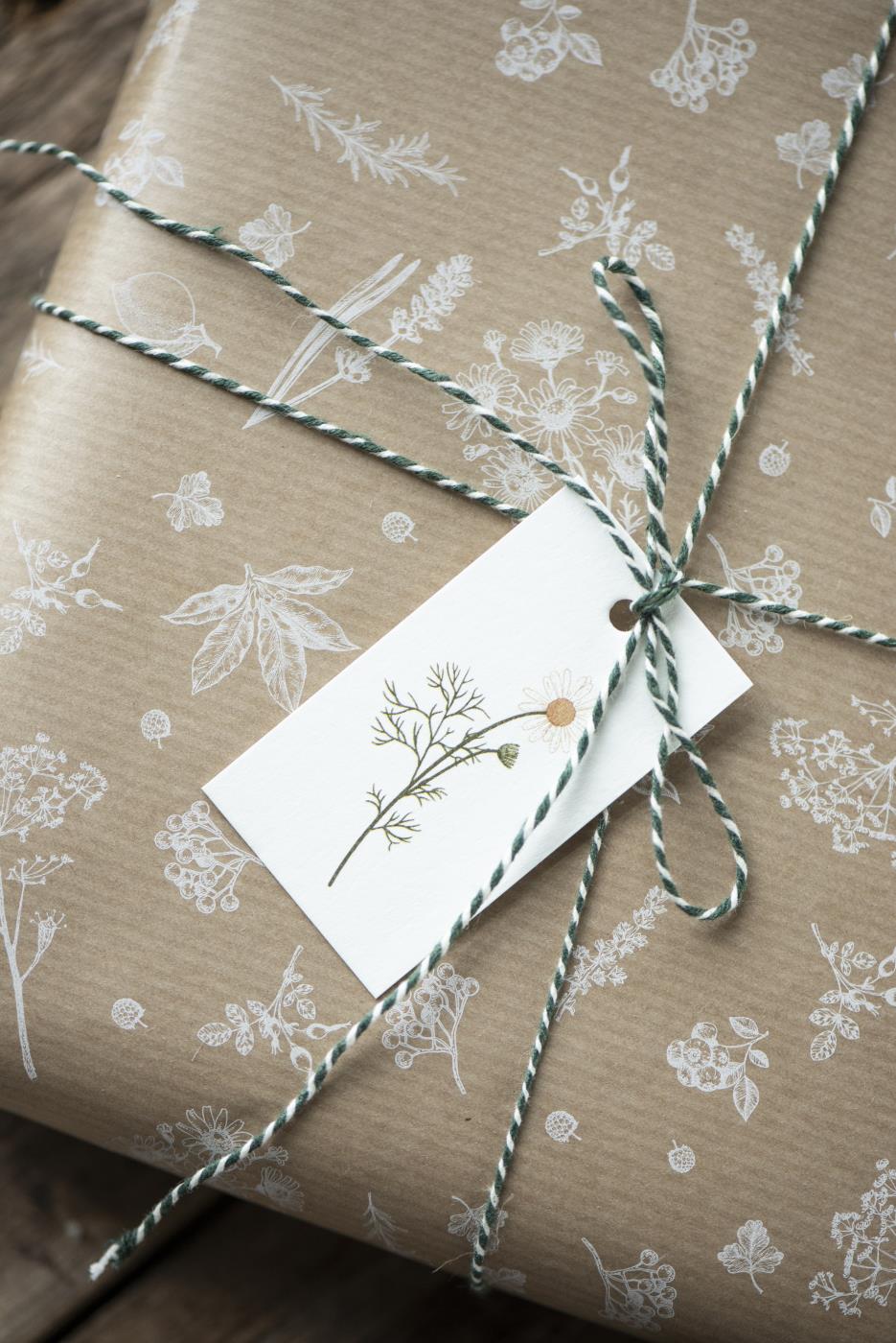 Roll of String Green/White
