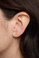 Load image into Gallery viewer, Nova Gold Earrings
