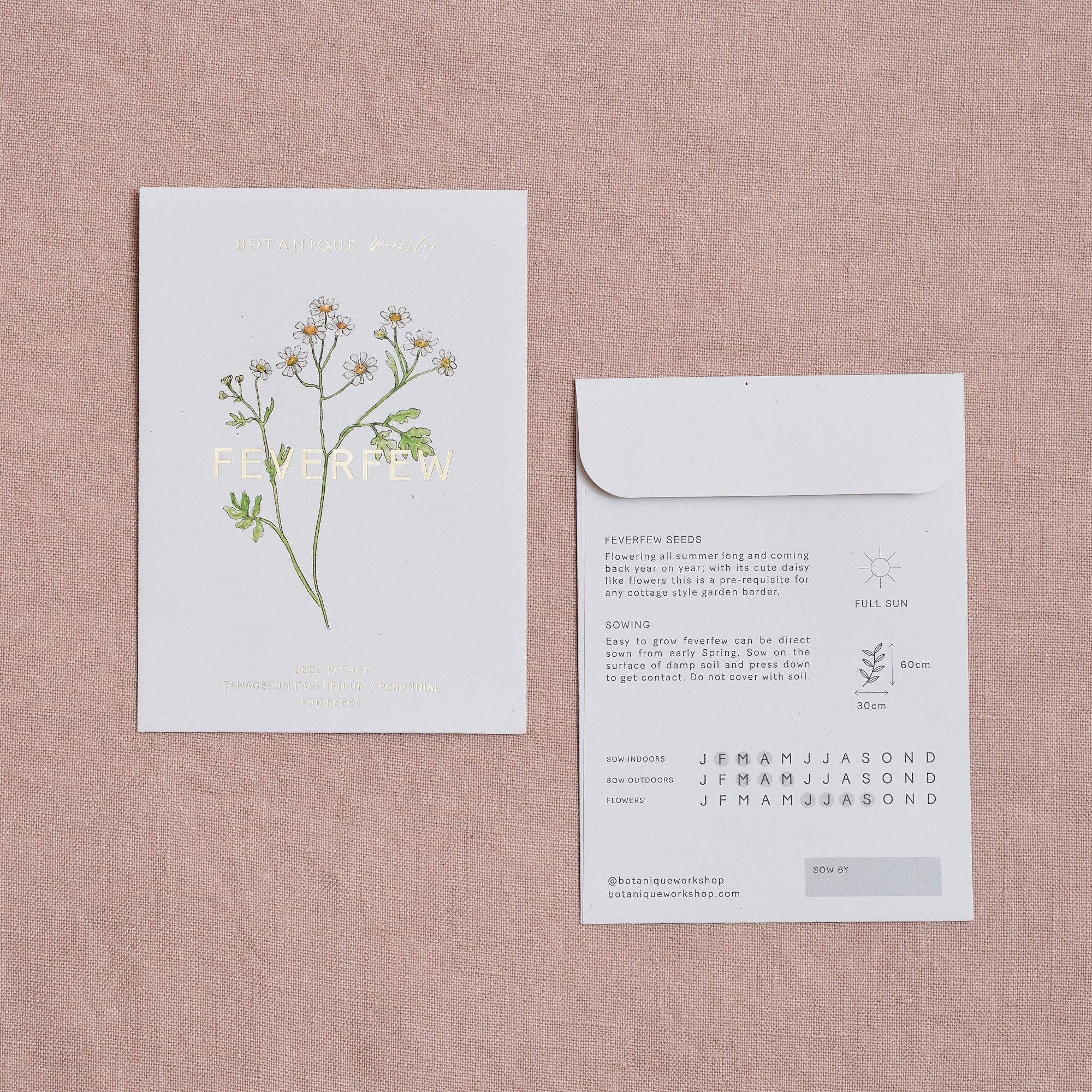 Feverfew Tanacetum Seed Packet