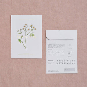 Feverfew Tanacetum Seed Packet