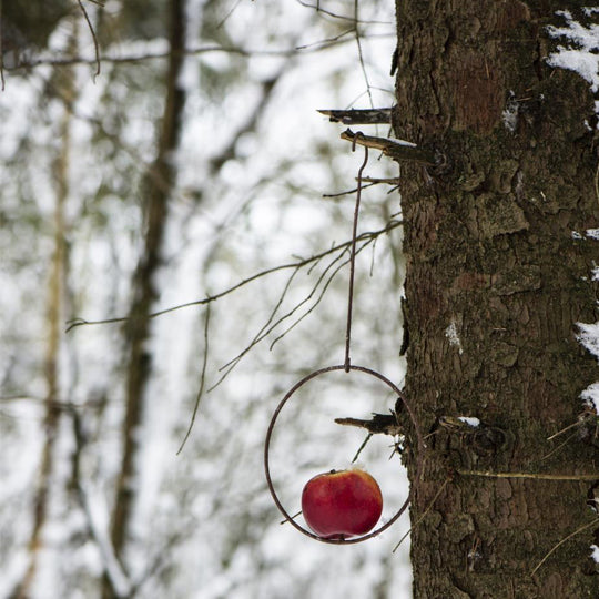 WIRE METAL BIRD FEEDER WITH SPIKE