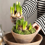 Load image into Gallery viewer, Mango Wood Bowl
