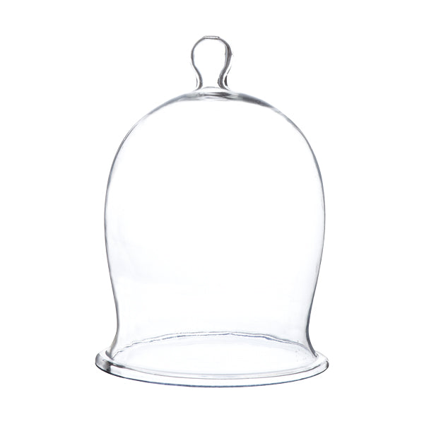 Glass Dome Bell Jar Small