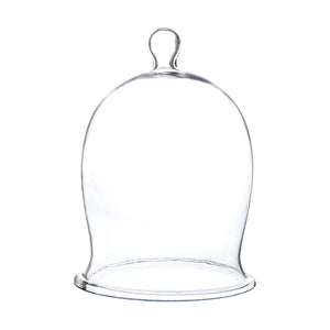Glass Dome Bell Jar Small