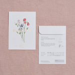 Load image into Gallery viewer, Sweet Pea Spencer Mixed Seed Packet
