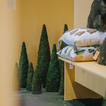 Load image into Gallery viewer, Moss Cones Three Sizes Available
